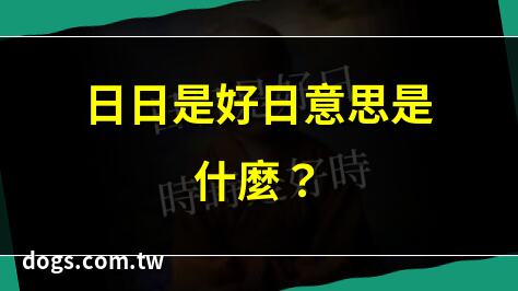 日日是好日意思是什麼？ | 時時是好時人生秘訣 | 日日是好日真實含義 | 日日是好日如何運作？